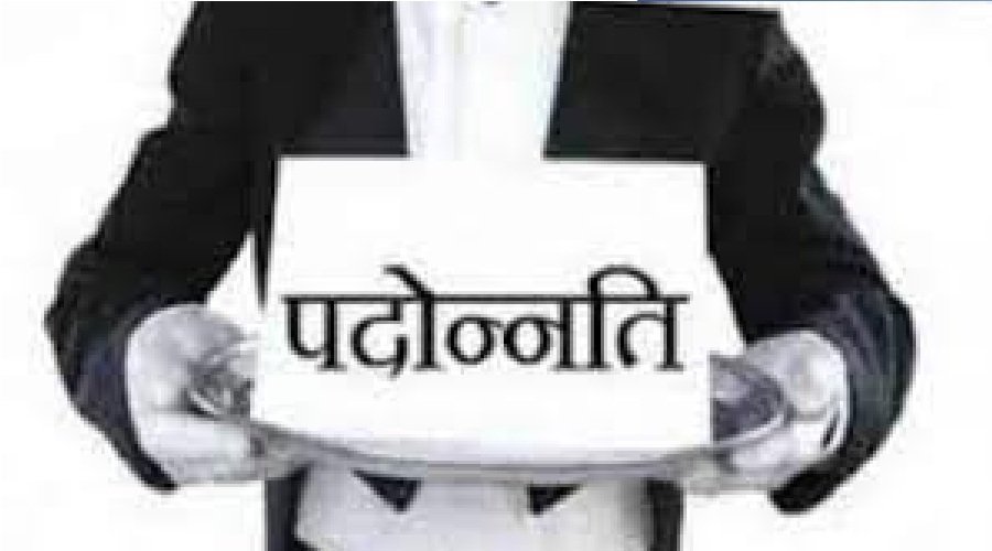 सूचना विभाग में बड़े स्तर पर प्रमोशन, पढ़िए पूरी खबर किन – किन कार्मिकों की हुई पदोन्नति