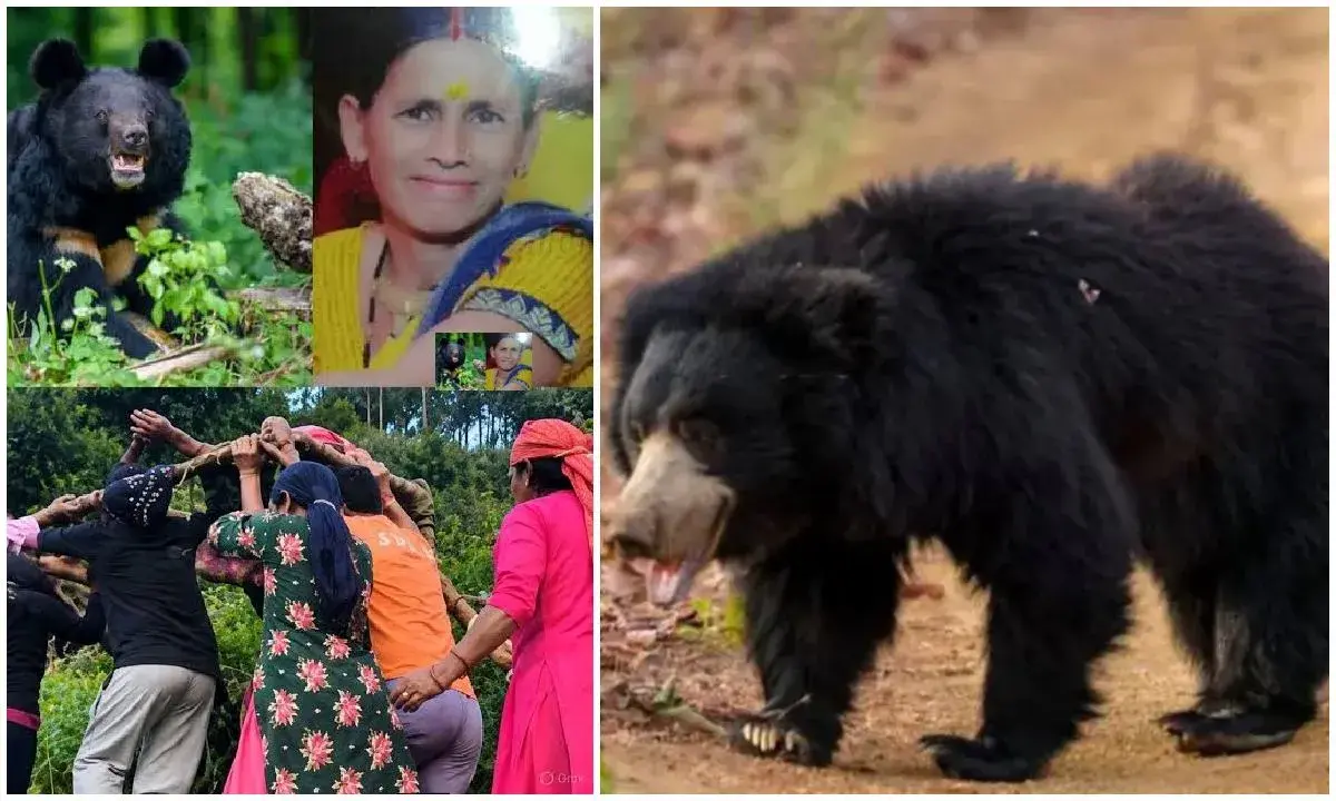नैनी डांडा में भालू का आतंक! कांग्रेस ने की गोली मारने की मांग